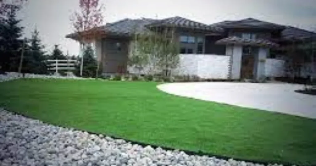 Jepturf Turf: The Perfect Solution for Your Lawn and Landscape Needs