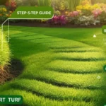 Unlock the Full Potential of Your Landscape With Expert Turf
