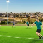 Frequence Turf The Complete Guide to the Revolutionary Turf Solution